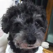 ＊BeBe＊の画像