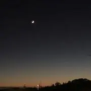 ジャックの画像