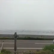 出品は6月6日までですの画像