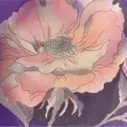きんちゃんの画像