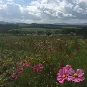 頑張って断捨離中の画像