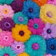 わかみーの画像