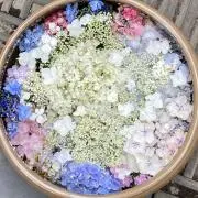 チョコの画像