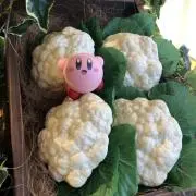 も@値下交渉はプロフのご一読お願いしますの画像