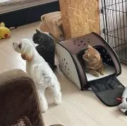 めいくんの画像