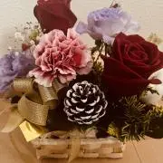 チャニの画像
