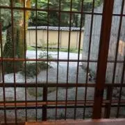 おかの画像