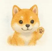 柴犬の画像
