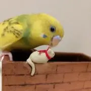 (*^^*)虹色