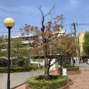 発散
