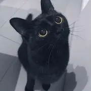 とと