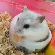 ゆい【プロフ見てね】の画像