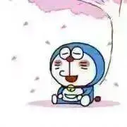 ドラともの画像