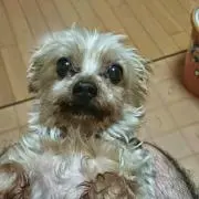 じゅんちゃんの画像