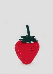 cocoの画像