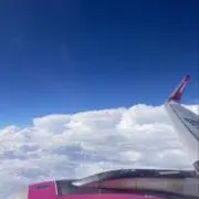 HLWの画像
