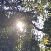 HINODEの画像