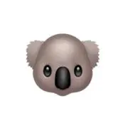 こあらはんの画像