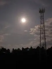 ちゃむの画像