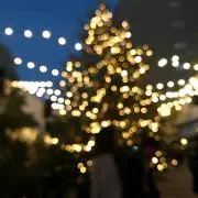 のんの画像