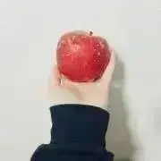 sasukeの画像