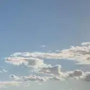 Tの画像
