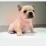nynynの画像
