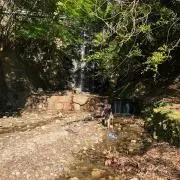 Kikichanの画像