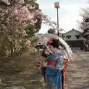すこぶるの画像