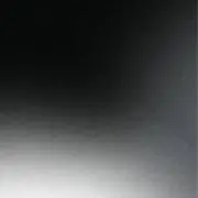 류の画像