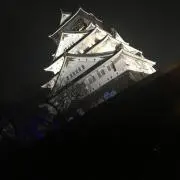 たかの画像