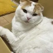 ちお＊の画像