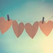 なのはな222の画像