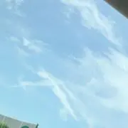 れんちゃんの画像