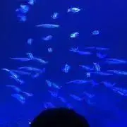 ！プロフ確認お願いします！の画像