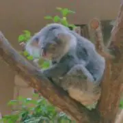 minaの画像