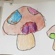 ひいちゃんの画像