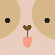 totoの画像