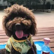 こっちゃんの画像
