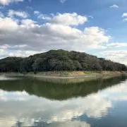 レイ