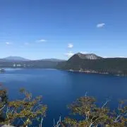 ニシキンの画像