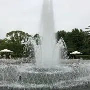 GOの画像
