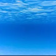 Buuuu!
