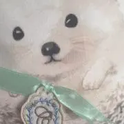 あやぱんの画像