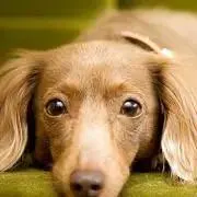 まとめ買い値引き致します！ワンメディア