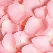 BLUME♡