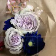 bachanの画像
