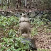 ケロの画像
