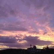 きゃなの画像