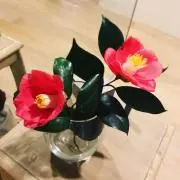 akiの画像